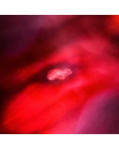 Saffronkeira & Siavash Amini - Faded Orbit (Red Vinyl/180G/Dl Card) (I)