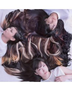 TRICOT - A N D (BROWN IN TAN VINYL)