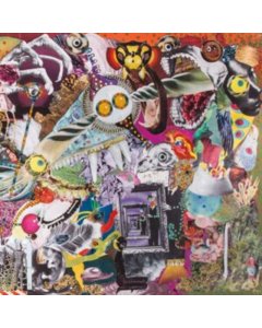 GIRAFFES? GIRAFFES! - MEMORY LAME (PURPLE & GREEN VINYL)