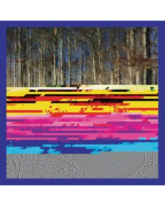 BACHMAN,DANIEL - ALMANAC BEHIND