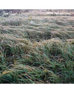 Music For Writers (Opaque Orange Vinyl/160G) - Steve Gunn