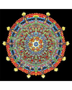 OF MONTREAL - HISSING FAUNA ARE YOU THE DESTROYER