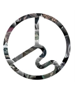 ICKY BLOSSOMS - ICKY BLOSSOMS