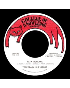 Fata Morgana / Silence Leaves An Open Wound - Temporary Blessings