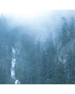 Diadem Of 12 Stars - Wolves In The Throne Room