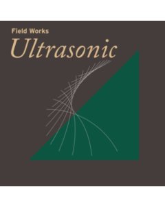 VARIOUS ARTISTS - FIELD WORKS: ULTRASONIC (2LP)