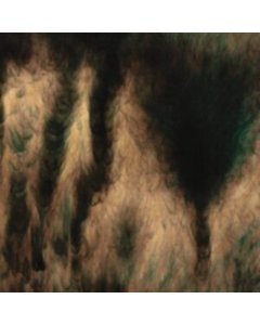 Lamentations (2Lp) - William Basinski