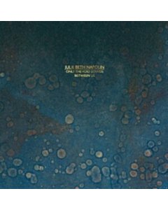 Only The Void Stands Between Us - Julie Beth Napolin