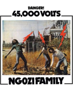 NGOZI FAMILY - 45,000 VOLTS