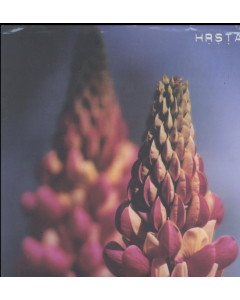 HRSTA - GHOSTS WILL COME & KISS OUR EYES