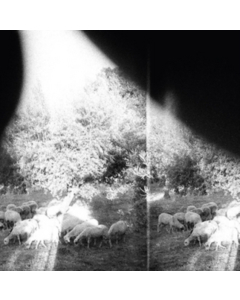 Asunder Sweet & Other Distress - Godspeed You Black Emperor