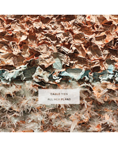 CABLE TIES - ALL HER PLANS (METALLIC BLUE ICE VINYL) (I)