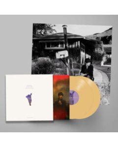 VAN ETTEN,SHARON - WE'VE BEEN GOING ABOUT THIS ALL WRONG (DELUXE EDITION/CUSTARD VINYL/2LP)