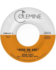 DOJO CUTS - HERE WE ARE (CLEAR VINYL)