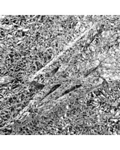 Silver (2Lp/Transparent Pink Vinyl) - Say She She