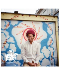 TORO Y MOI - WHAT FOR
