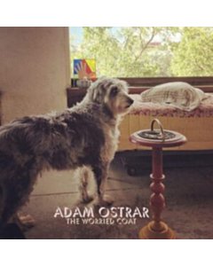 Worried Coat - Adam Ostrar