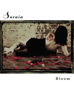 SORAIA - BLOOM