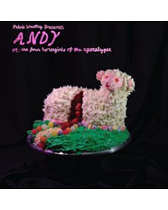 Andy, Or: The Four Horsegirls Of The Apocalypse (Pink Frosting Vinyl) - Pelvis Wrestley