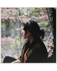 Blood Test - Kris Delmhorst