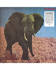 Social Gathering - Food Brain