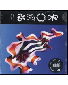 DIVINO NNO - FOAM