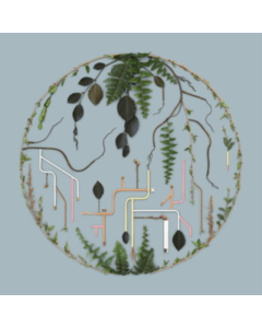 EL BÃšHO - TRIBUTARIES: VOL. 2