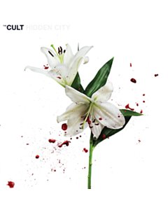 Hidden City (White/Red Vinyl/2Lp) - Cult