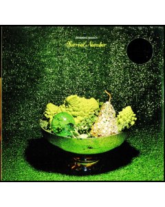 SWARMING BRANCH - SURREAL NUMBER (FULL COLOR PRINTED JACKET/DIGITAL DL)