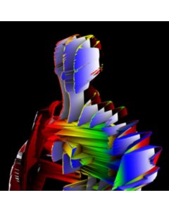 VISIBLE CLOAKS - LEX