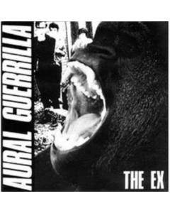 EX - AURAL GUERRILLA