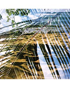 Dogs On Acid - Dogs On Acid