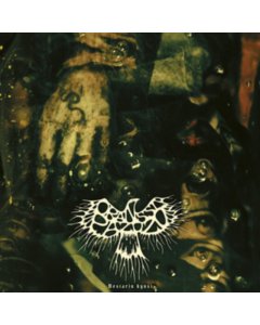 ORANSSI PAZUZU - MESTARIN KYNSI