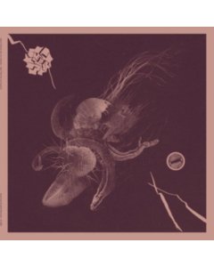 TURNER,AARON & JON MUELLER - NOW THAT YOU'VE FOUND IT