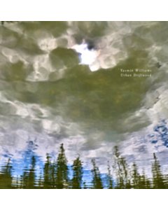 Urban Driftwood - Yasmin Williams