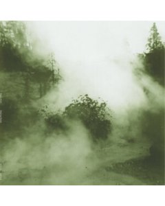 Swaying Steady - Megan Siebe