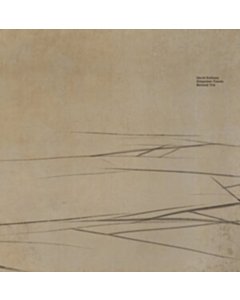 Empyrean Traces - Benaud Trio