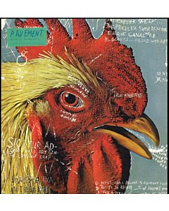 Watery Domestic - Pavement