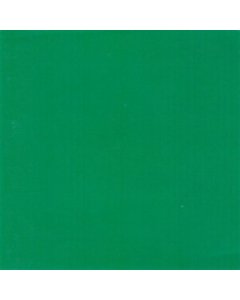 Green Album - Skankin Pickle