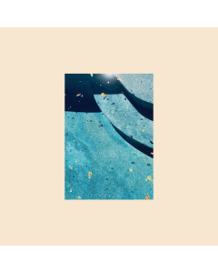 GIANT DAY - GLASS NARCISSUS