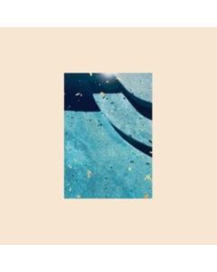 GIANT DAY - GLASS NARCISSUS
