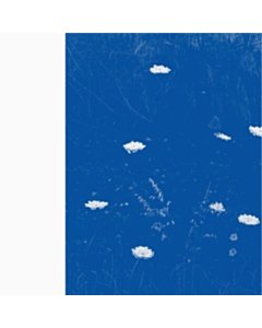 MERZBOW - FLARE BLUES