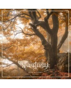 Unter Bronzenen Kronen - Waldgefluster