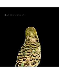 BIRD,ANDREW - ARMCHAIR APOCRYPHA