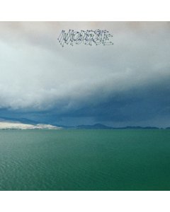 MODEST MOUSE - FRUIT THAT ATE ITSELF