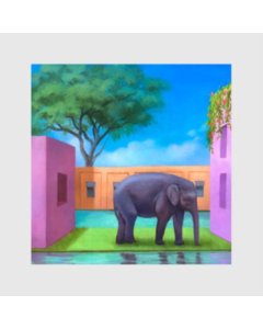 KOREA TOWN ACID - ELEPHANT IN THE ROOM