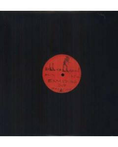 CALLAHAN,BILL - EXPANDING DUB