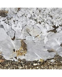 Lost Words - Tim Barnes