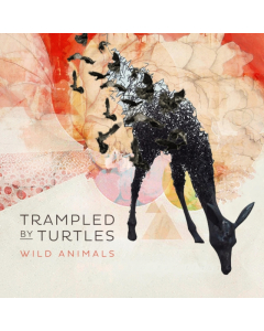 Trampled By Turtles - Wild Animals