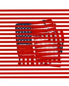 Tortoise - Standards